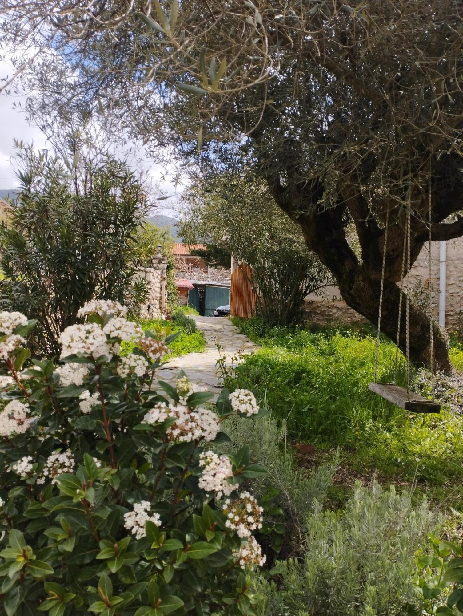 Sofias Cottage Ellinikón Exterior foto
