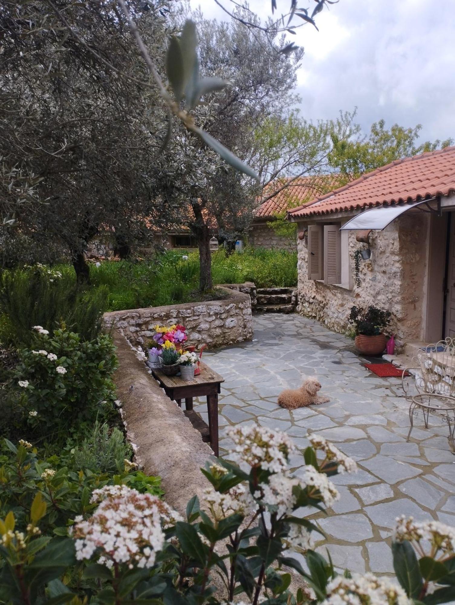 Sofias Cottage Ellinikón Exterior foto